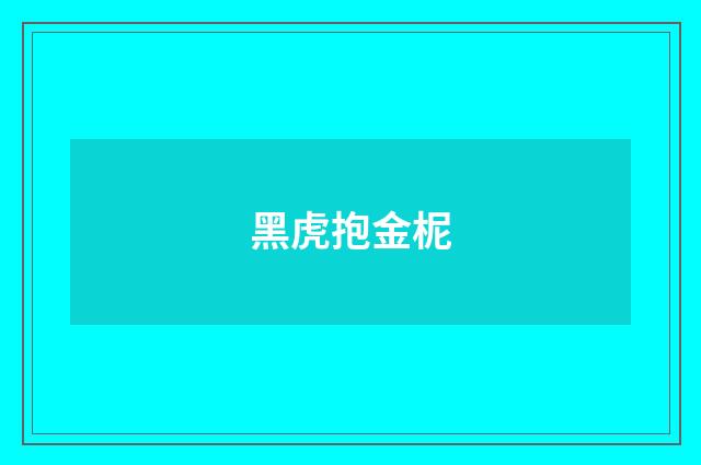 黑虎抱金柅