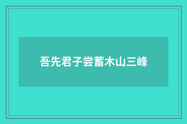 吾先君子尝蓄木山三峰