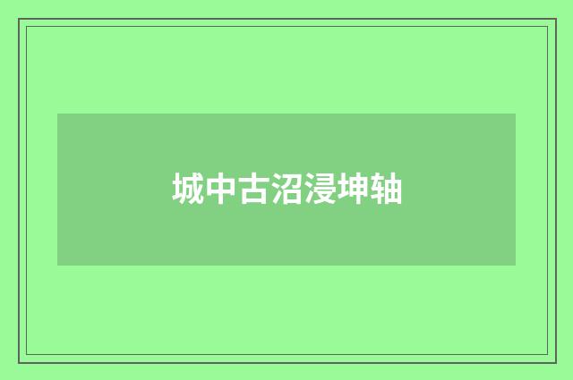 城中古沼浸坤轴