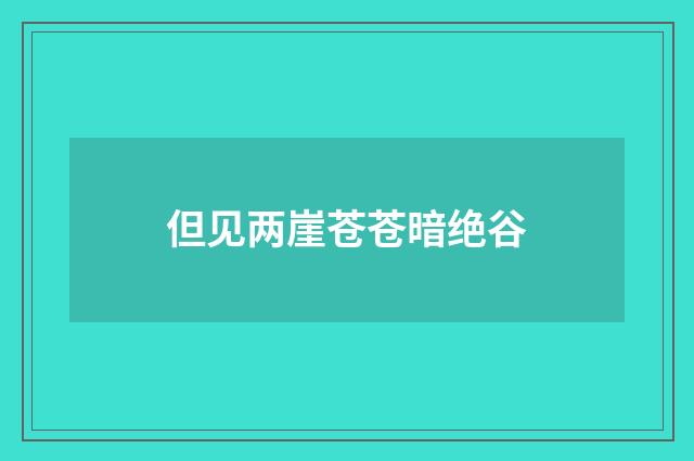 但见两崖苍苍暗绝谷