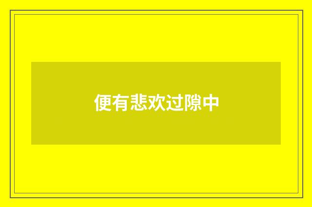 便有悲欢过隙中