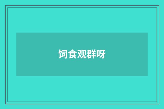 饲食观群呀