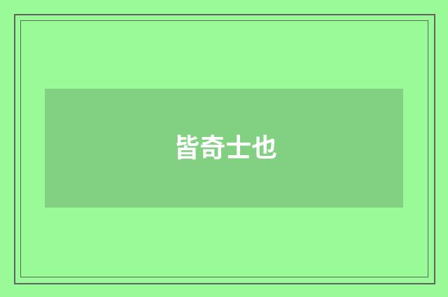 皆奇士也