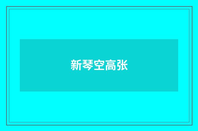 新琴空高张