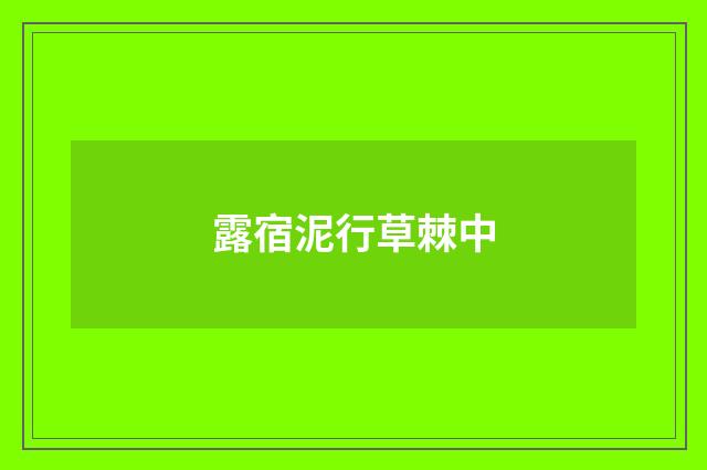 露宿泥行草棘中