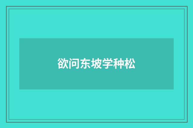 欲问东坡学种松