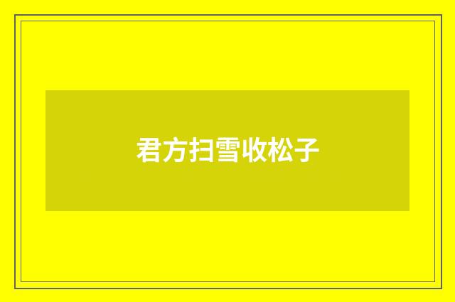 君方扫雪收松子