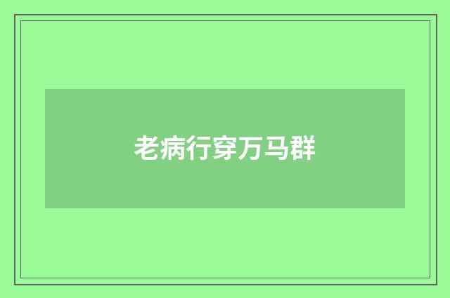 老病行穿万马群