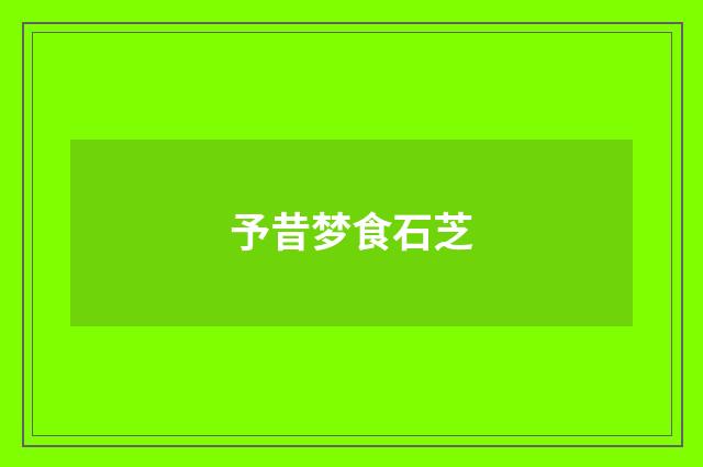 予昔梦食石芝