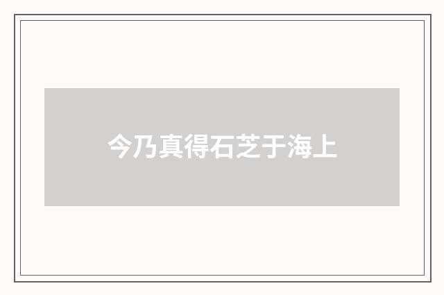 今乃真得石芝于海上