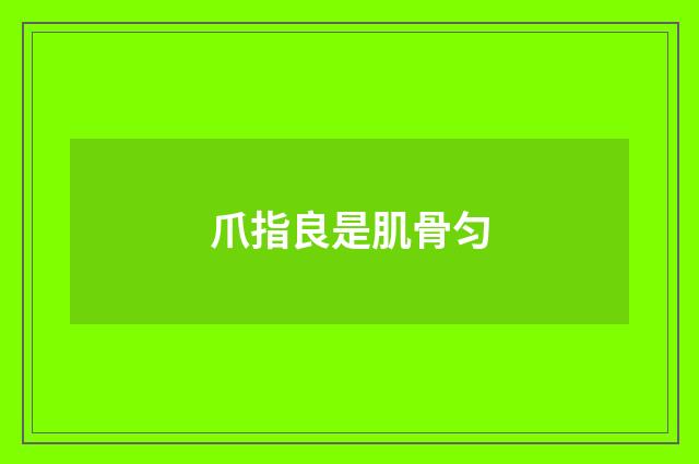 爪指良是肌骨匀