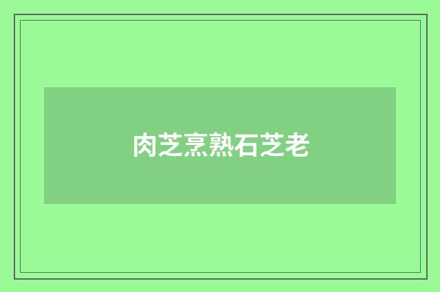肉芝烹熟石芝老