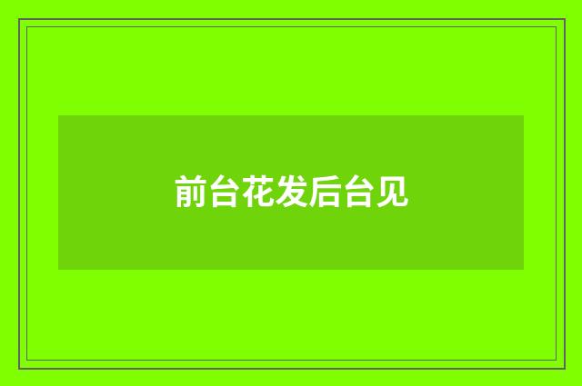 前台花发后台见