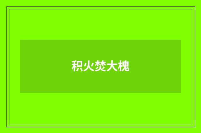 积火焚大槐