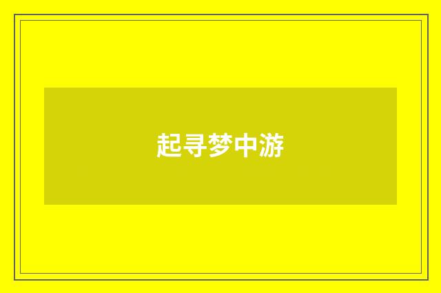 起寻梦中游