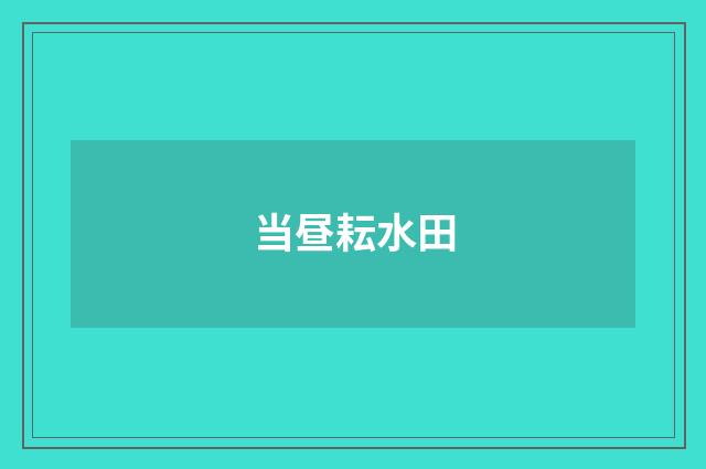 当昼耘水田