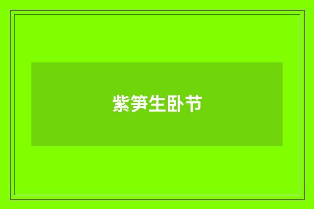紫笋生卧节