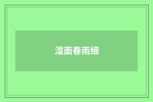 湿面春雨细