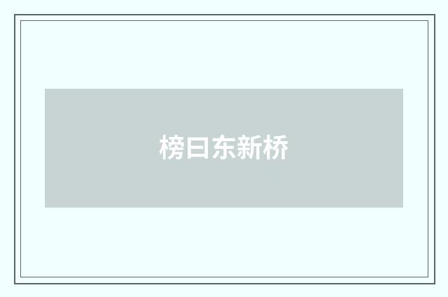 榜曰东新桥