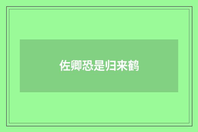 佐卿恐是归来鹤