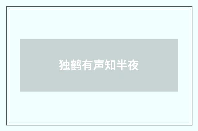 独鹤有声知半夜