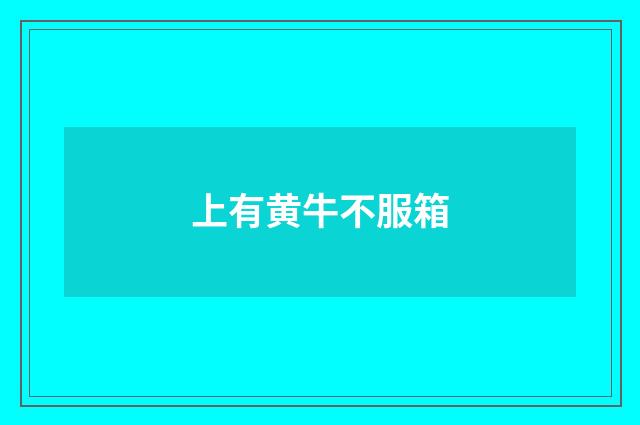 上有黄牛不服箱
