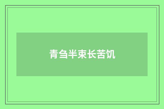 青刍半束长苦饥