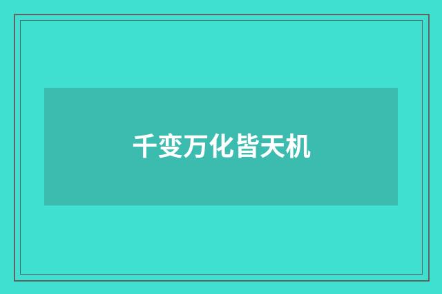 千变万化皆天机