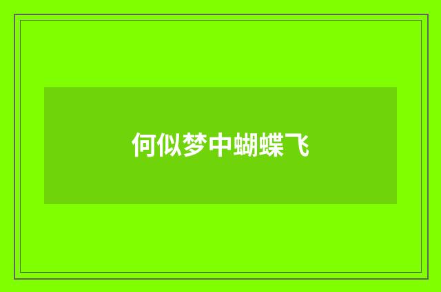 何似梦中蝴蝶飞