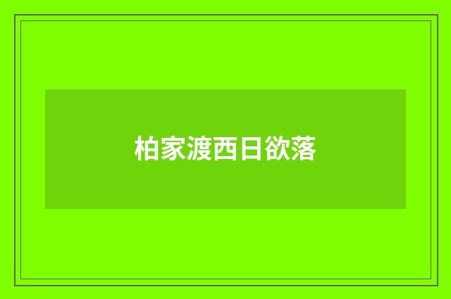 柏家渡西日欲落