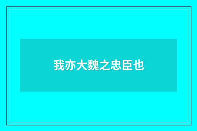 我亦大魏之忠臣也