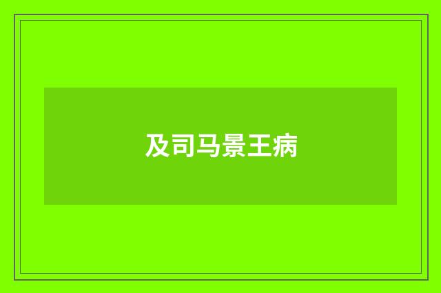 及司马景王病