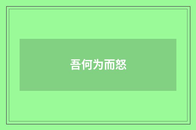 吾何为而怒
