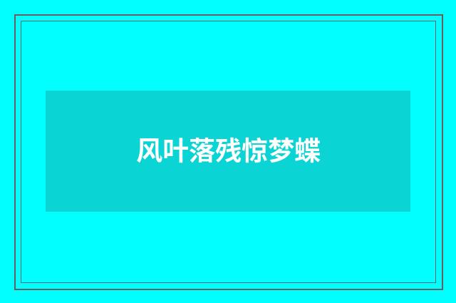 风叶落残惊梦蝶