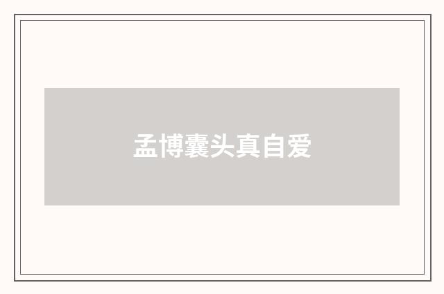 孟博囊头真自爱