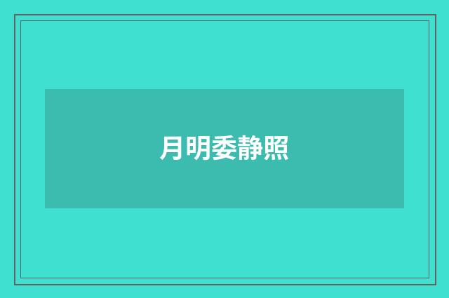 月明委静照