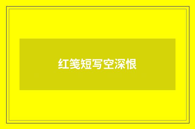 红笺短写空深恨