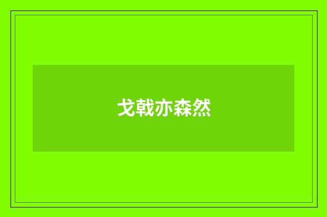 戈戟亦森然