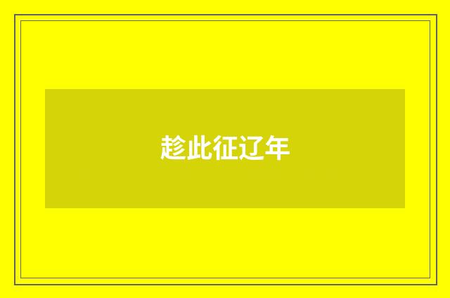 趁此征辽年