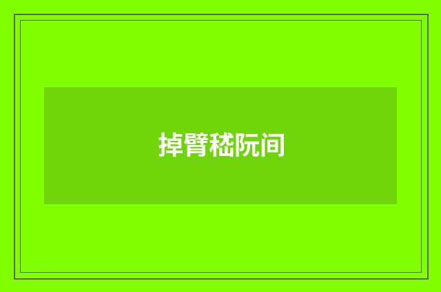 掉臂嵇阮间