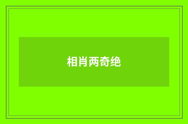 相肖两奇绝