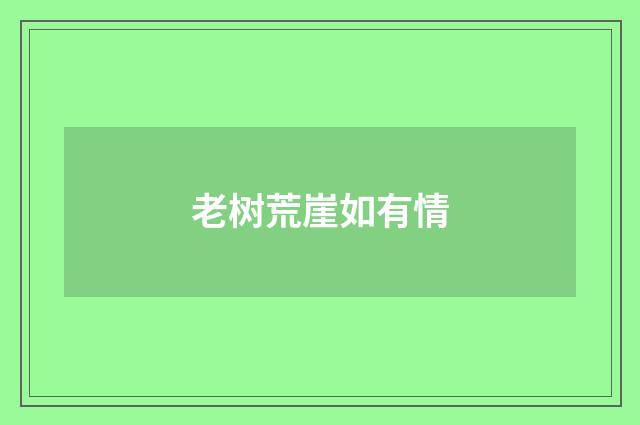 老树荒崖如有情