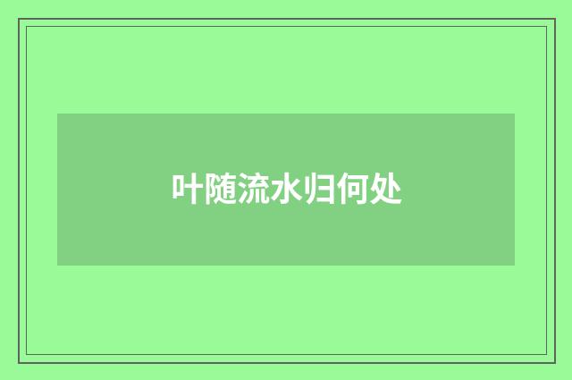 叶随流水归何处