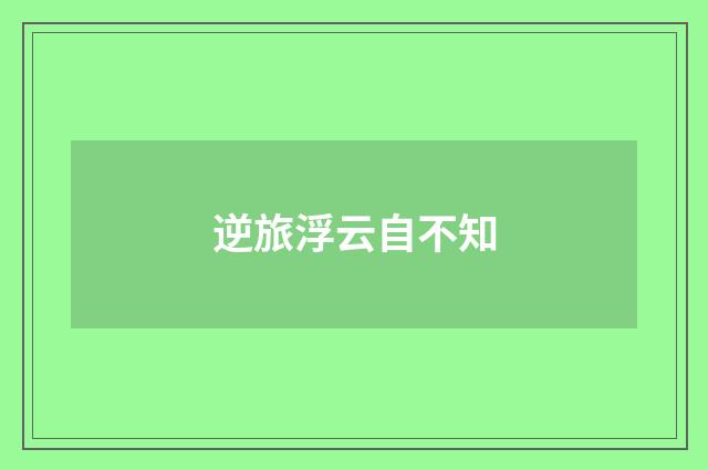逆旅浮云自不知