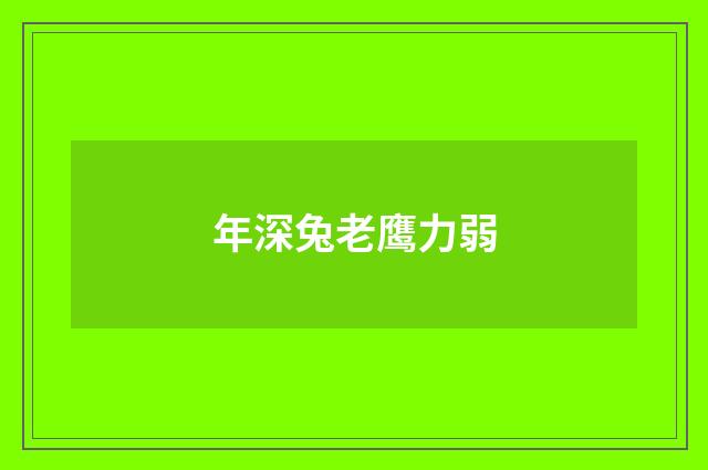 年深兔老鹰力弱