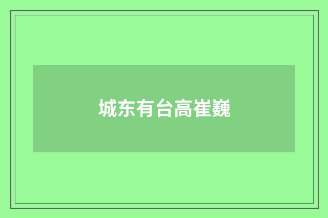 城东有台高崔巍