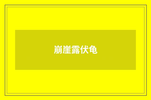 崩崖露伏龟