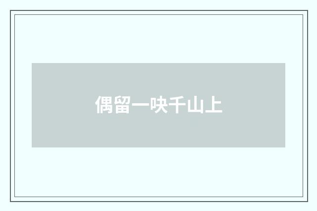 偶留一吷千山上