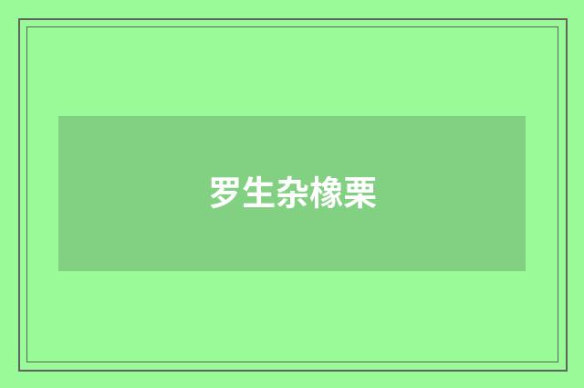 罗生杂橡栗