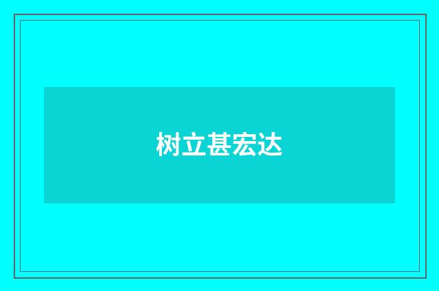 树立甚宏达